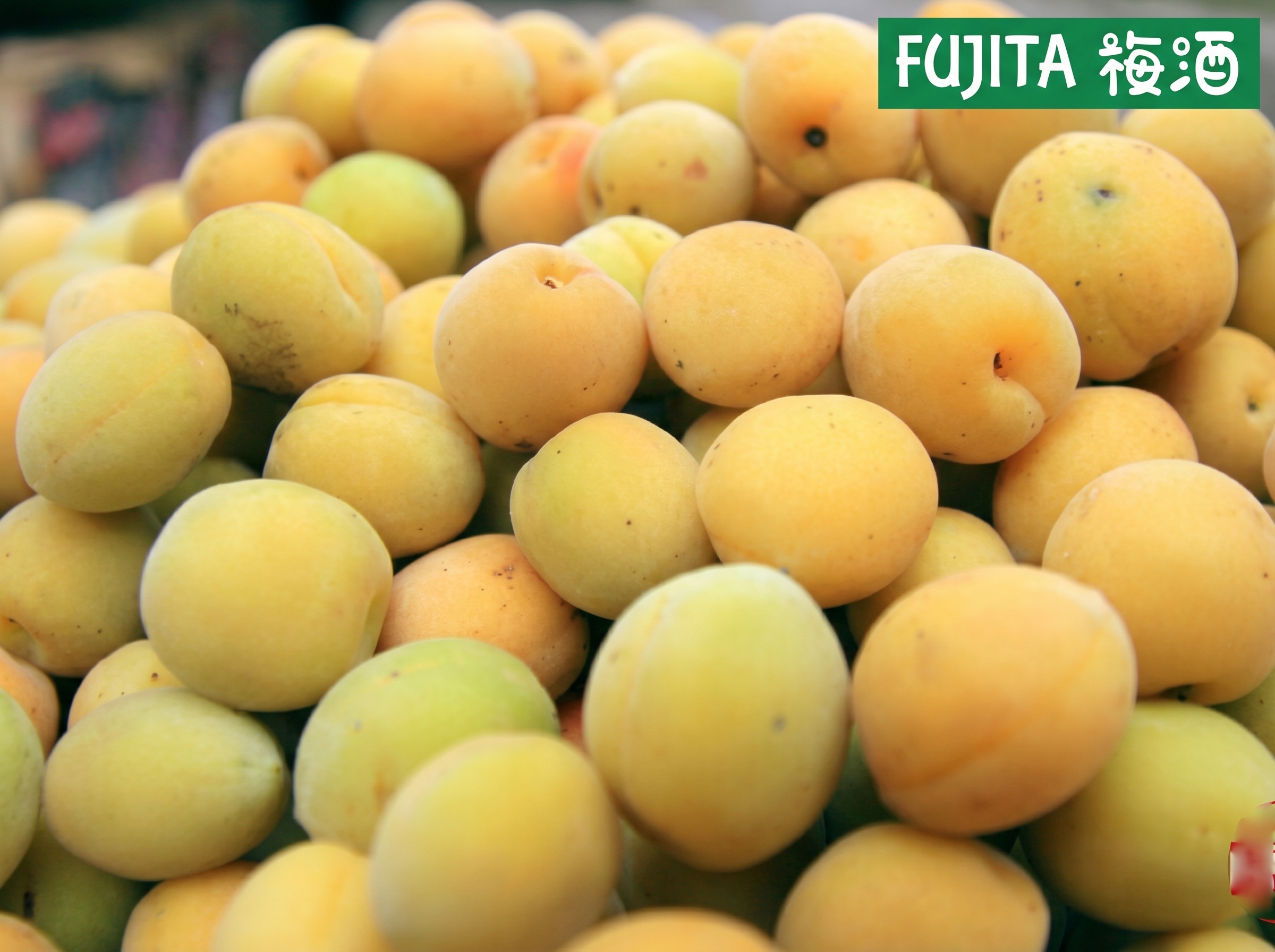 cách ngâm rượu mơ